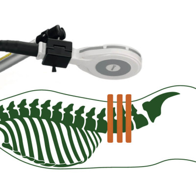 Aparat do głębokiej stymulacji elektromagnetycznej emFieldPro