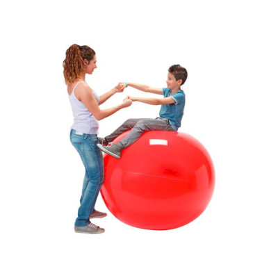 Physio Gymnic - Piłka gimnastyczna o śr. 85/95/120 cm