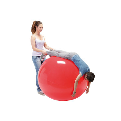 Physio Gymnic - Piłka gimnastyczna o śr. 85/95/120 cm