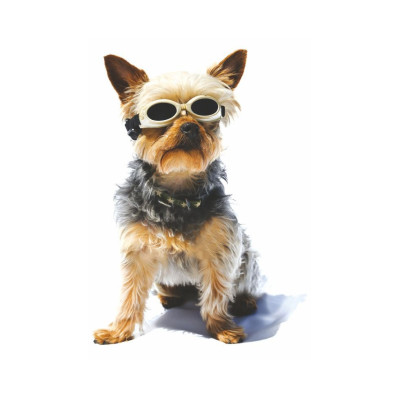 Okulary ochronne dla zwierząt DOGGLES