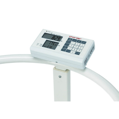 Waga platformowa MS2504