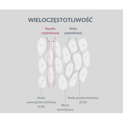 InBody 270S - analizator składu ciała